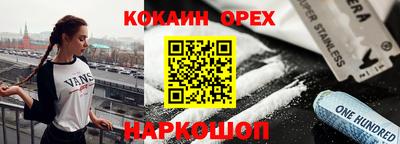 крисы Новодвинск