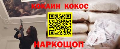 крисы Новодвинск