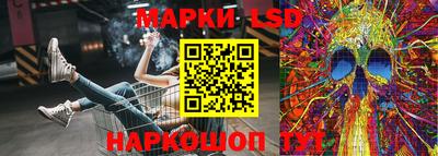 крисы Новодвинск