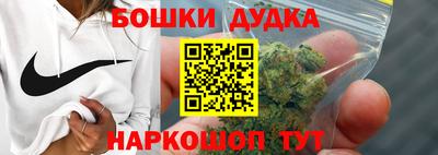 крисы Новодвинск