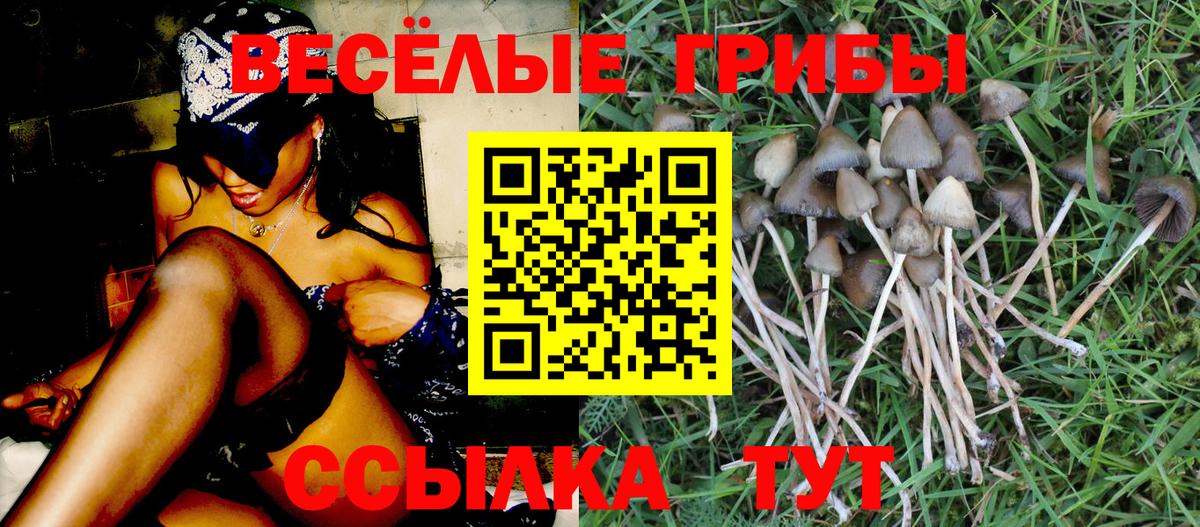 Галлюциногенные грибы MAGIC MUSHROOMS Богородск