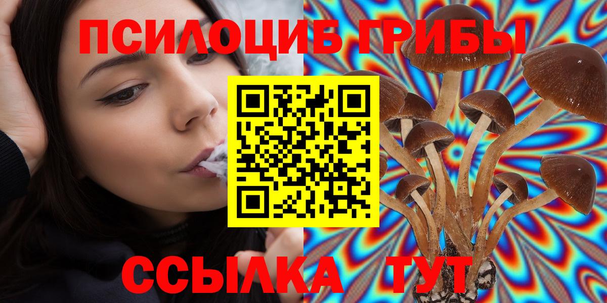цена   Галлюциногенные грибы GOLDEN TEACHER  Вход с VPN  Галлюциногенные грибы прущие грибы  Богородск 